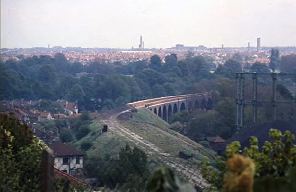 A train track going through a forestDescription automatically generated with medium confidence
